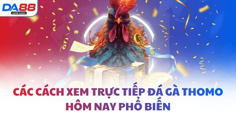 Các cách xem trực tiếp đá gà thomo hôm nay phổ biến