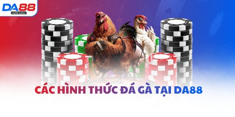 Các hình thức đá gà tại DA88
