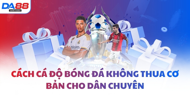 Cách cá độ bóng đá không thua cơ bản cho dân chuyên