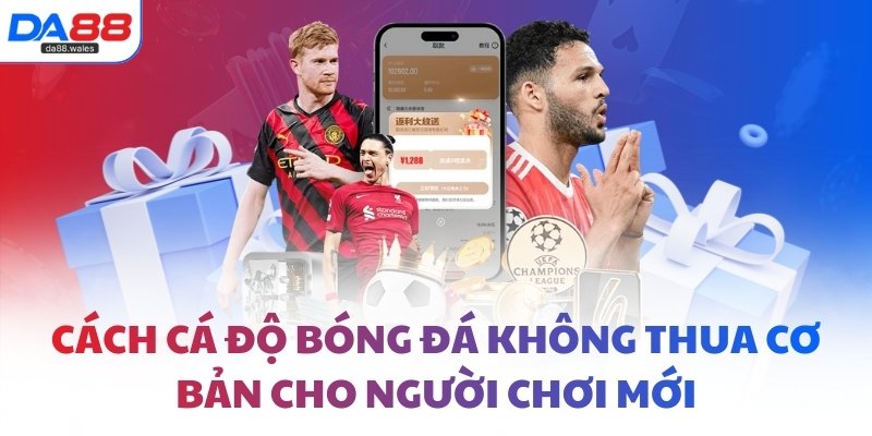 Cách cá độ bóng đá không thua cơ bản cho người chơi mới