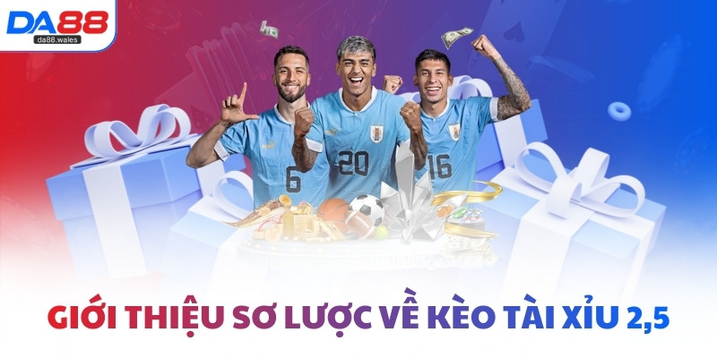 Giới thiệu sơ lược về kèo Tài Xỉu 2,5