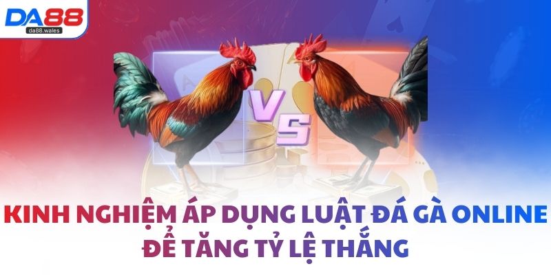 Kinh nghiệm áp dụng luật đá gà online để tăng tỷ lệ thắng