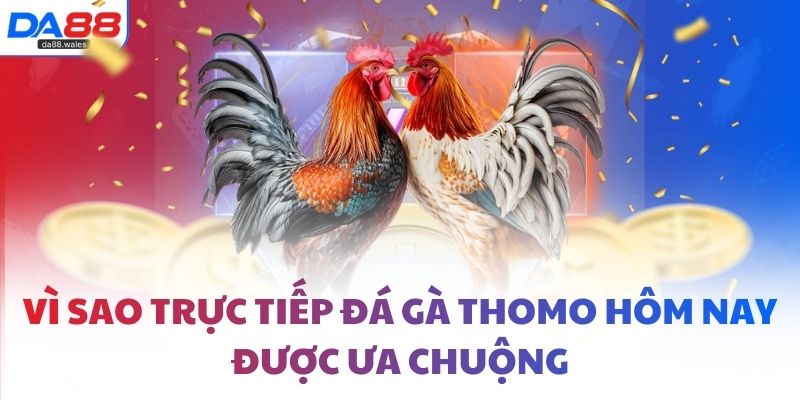 Vì sao trực tiếp đá gà thomo hôm nay được ưa chuộng