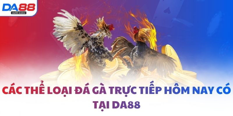 Các thể loại đá gà trực tiếp hôm nay có tại DA88
