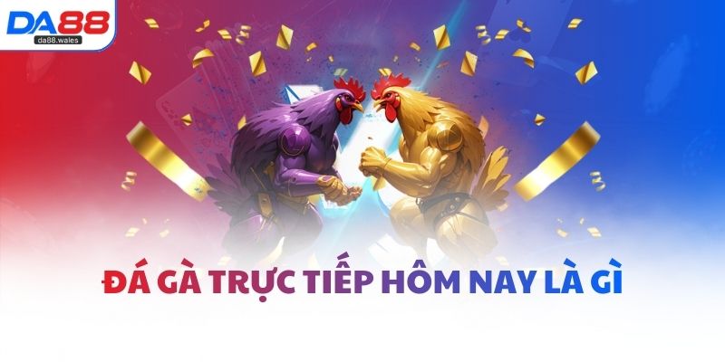 Đá gà trực tiếp hôm nay là gì?
